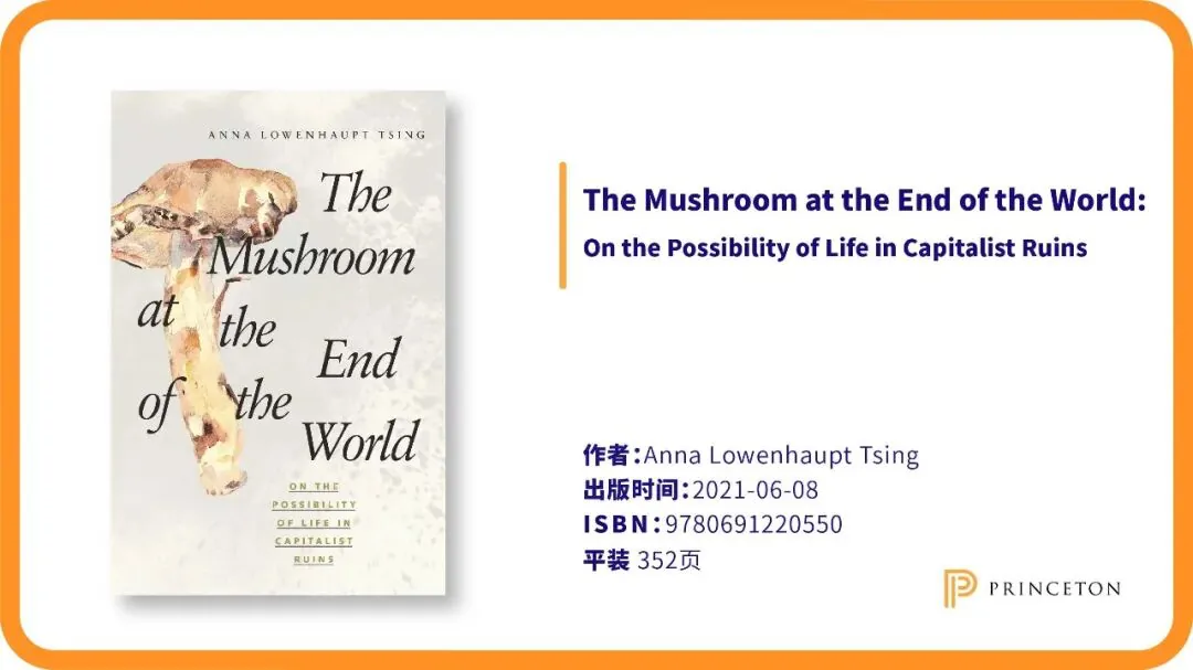 《The Mushroom at the End of the World》书封绘有一株倒置的松茸水彩画，配文标明作者 Anna Lowenhaupt Tsing，2021年6月出版，平装352页。