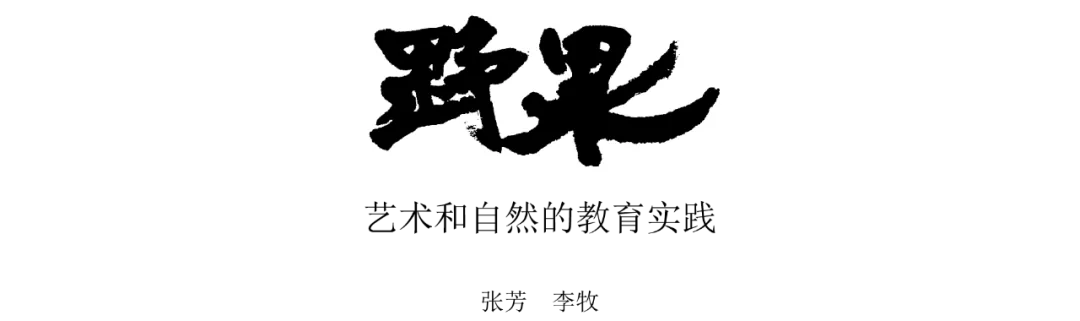 '野果'工作室名称的毛笔书法字体标志，黑字白底。
