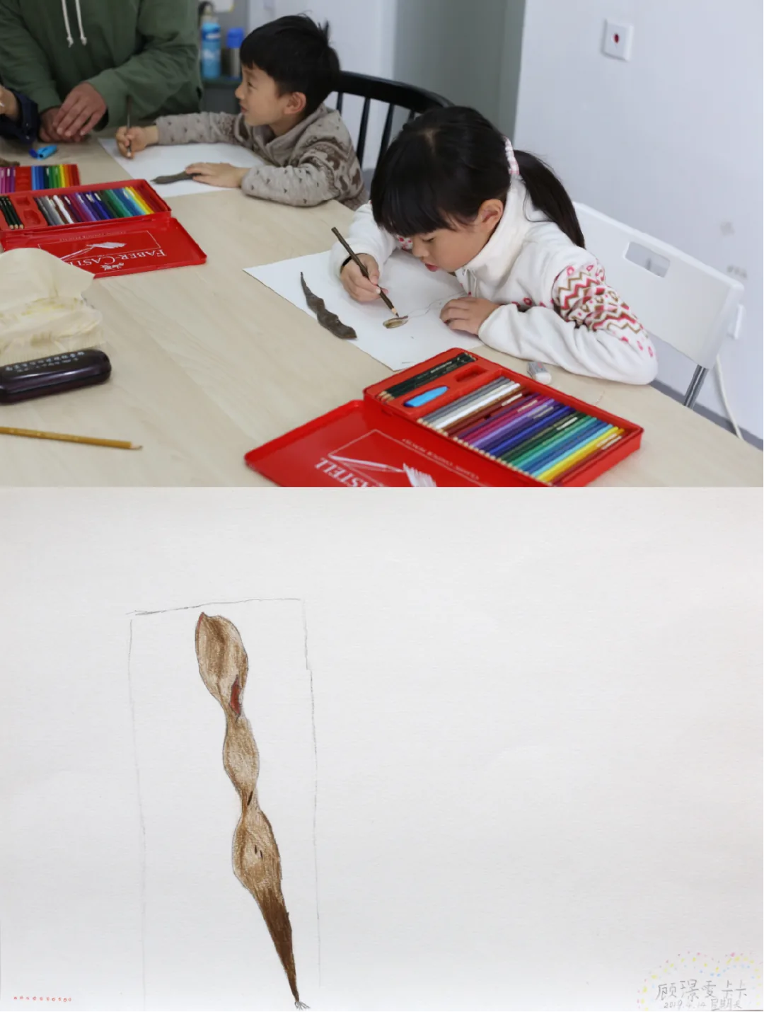 上方两个孩子坐在桌前用彩色铅笔临摹观察植物标本；下方是一幅写实描绘的细长豆荚状种子的彩铅画。