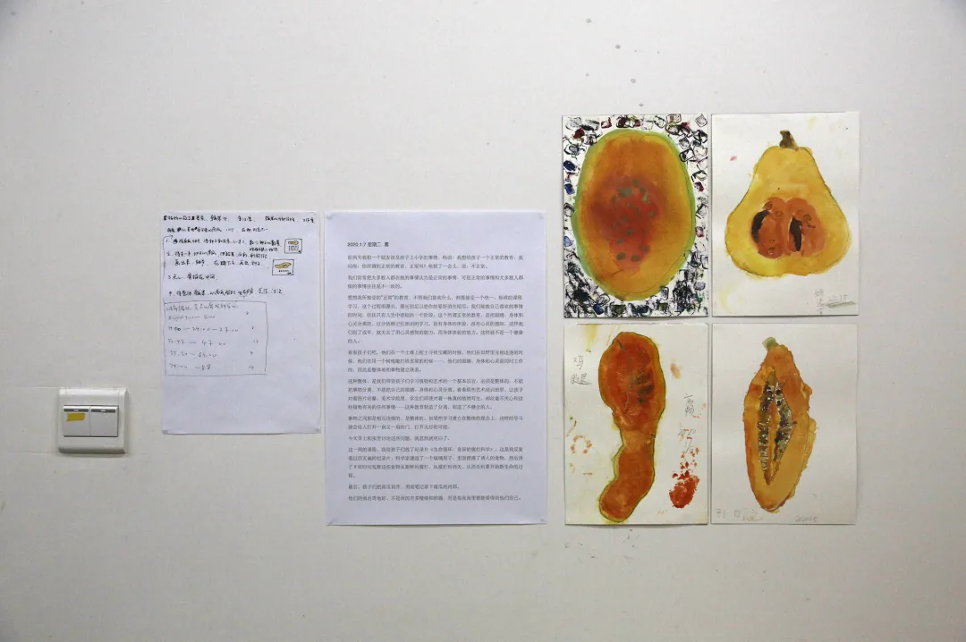 墙上展示四幅南瓜横切面水彩画，呈现橙黄果肉与瓜子截面，左侧贴着手写笔记与一张打印文字说明。