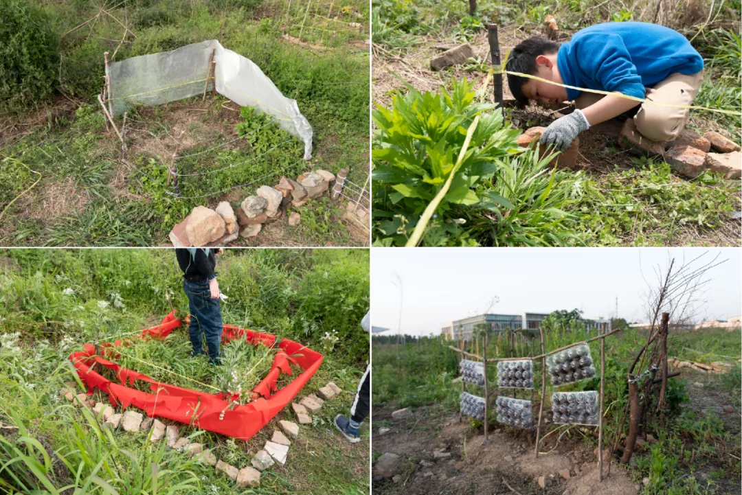 四宫格照片：孩子们用不同材料搭建一平方米土地的围墙——塑料布棚加石块、绳子丈量与砖块角桩、红布围栏站人其中、以及蛋托拼成的网格围栏。