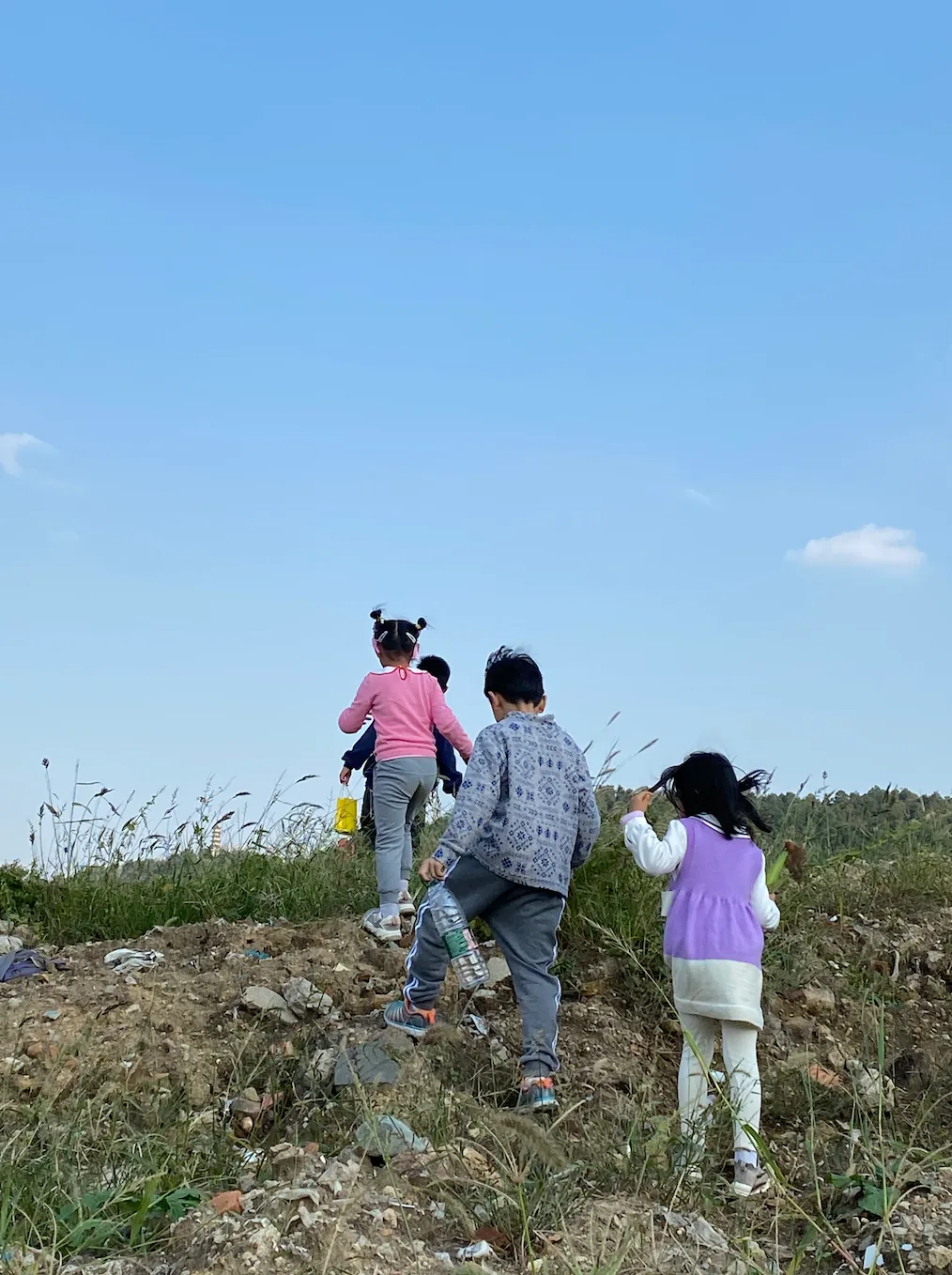 四个孩子背对镜头，手牵手结伴爬上一座长满杂草的土坡，头顶是晴朗的蓝天。