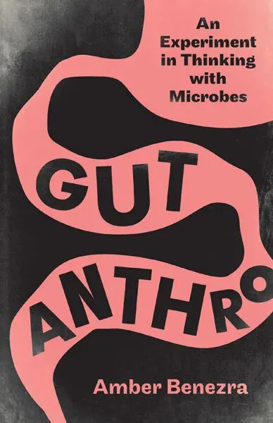 《肠道人类学》（Gut Anthro）封面，黑色底上一条粉色蜿蜒的肠道状色块，书名文字嵌于其中。作者安珀·贝内兹拉。
