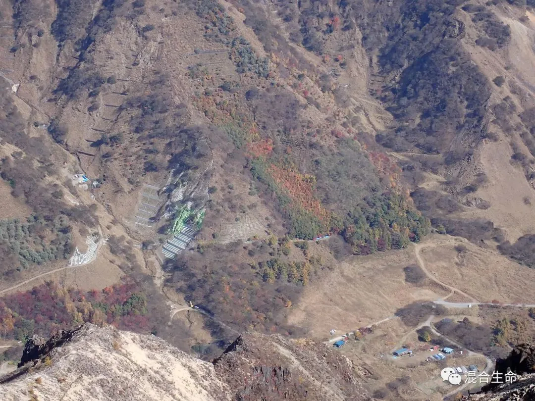俯瞰光秃山谷，大片枯黄山坡间点缀一片黄红绿相间的秋色小树林，山脚可见几栋小屋和阶梯状种植区。