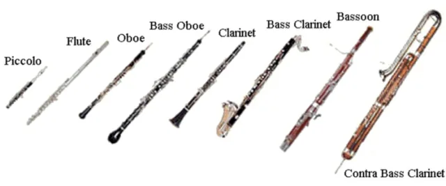 木管乐器图示,从左到右标注短笛(Piccolo)、长笛(Flute)、双簧管(Oboe)、低音双簧管(Bass Oboe)、单簧管(Clarinet)、低音单簧管(Bass Clarinet)、大管(Bassoon)、低音大管(Contra Bass Clarinet)的实物照片。