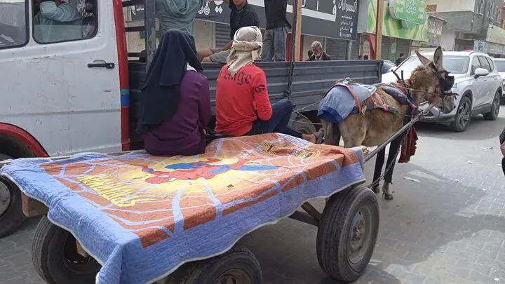 加沙街头，一辆驴车上铺着彩色被褥并载着几名乘客，路边停着卡车与轿车。