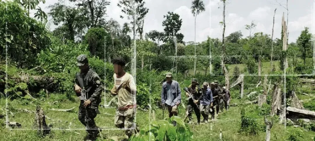 数名持枪的武装人员押送一名平民打扮的年轻人穿过一片被砍伐后只剩枯木残桩的林地。