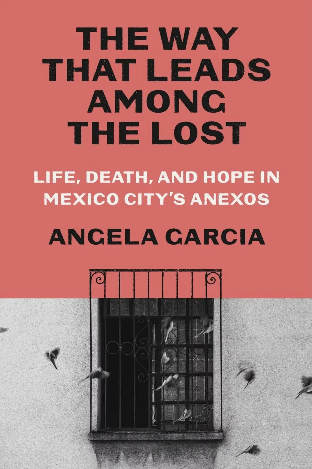 书封《The Way That Leads Among the Lost: Life, Death, and Hope in Mexico City's Anexos》，作者 Angela Garcia；上半为砖红色底配黑体书名，下半是黑白照片，铁栅窗前有数只飞鸟掠过、墙面斑驳。