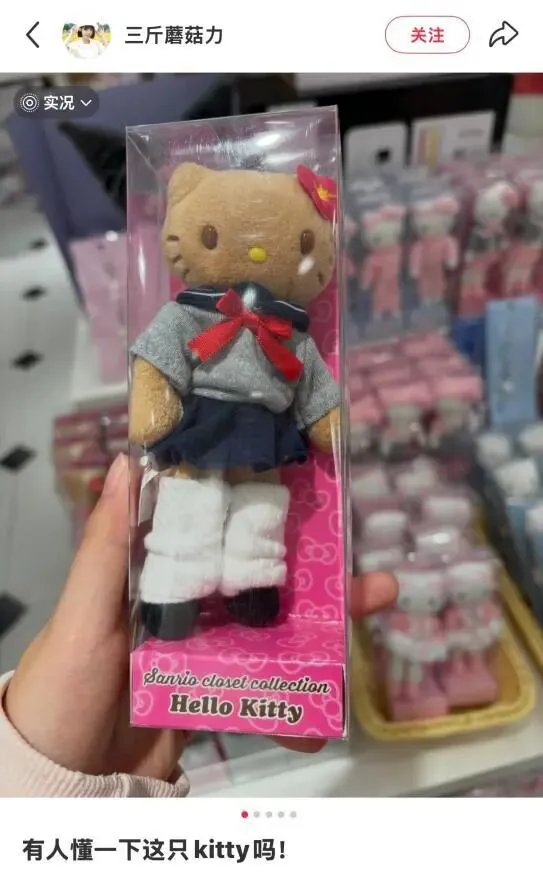 小红书截图，一只手举着包装盒中的棕毛凯蒂猫玩偶，玩偶身穿灰色水手服、藏青色短裙、白色腿套，配文写道“有人懂一下这只kitty吗！”