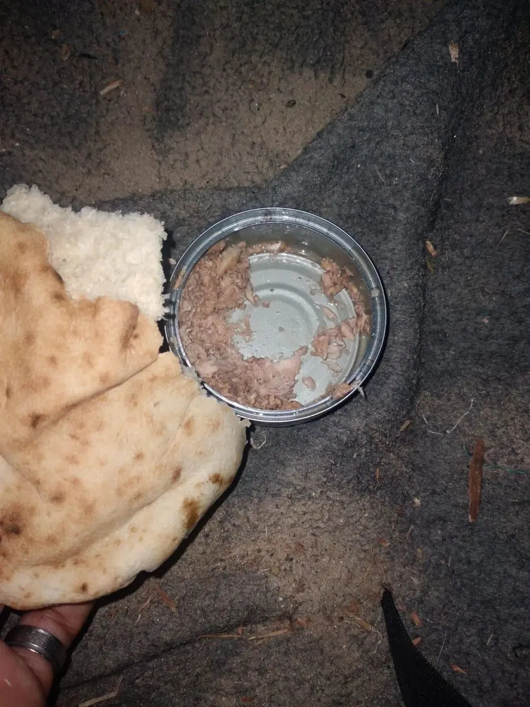 一只手拿着几张薄饼,旁边是一个已打开、内有少量肉糜的金属罐头,放在沾满沙尘的毯子上。