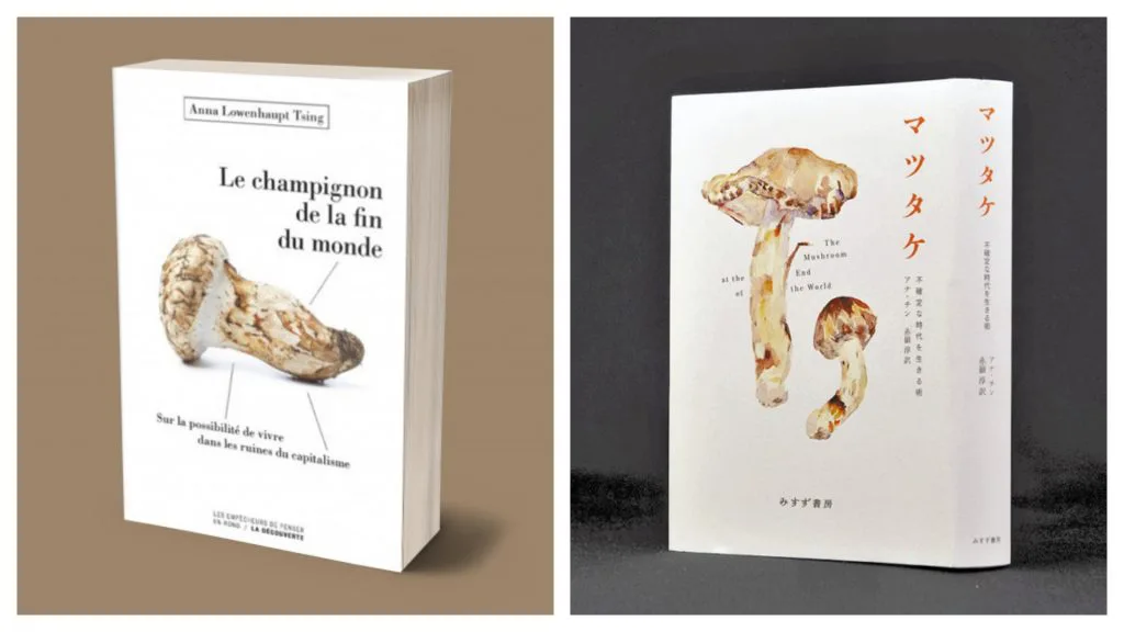 左边法文版封面印有书名《Le champignon de la fin du monde》与作者姓名,配一枚松茸剖面照片;右边日文版封面为白底,绘有水彩松茸,印有片假名书名“マツタケ”及日文副标题。
