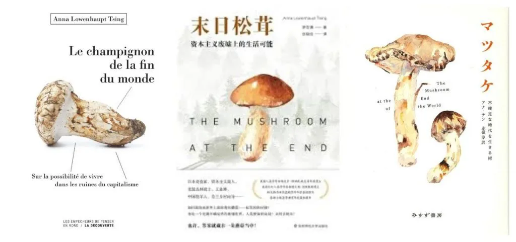 三本书封面并排,均绘有松茸水彩插画:左为法文版《Le champignon de la fin du monde》,中为简体中文版《末日松茸》,右为日文版《マツタケ》。