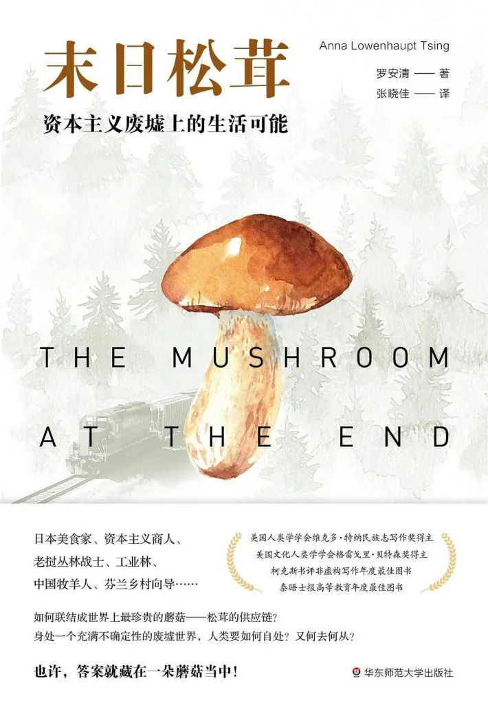 封面绘有一株水彩风格的松茸与森林、铁轨剪影,上方印有书名《末日松茸》及副标题“资本主义废墟上的生活可能”,作者罗安清、译者张晓佳,英文原名与出版社信息印于下方。