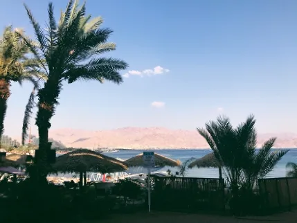红海海滨的度假区风光,前景是棕榈树和遮阳伞,海湾对岸是连绵的红褐色山脉。