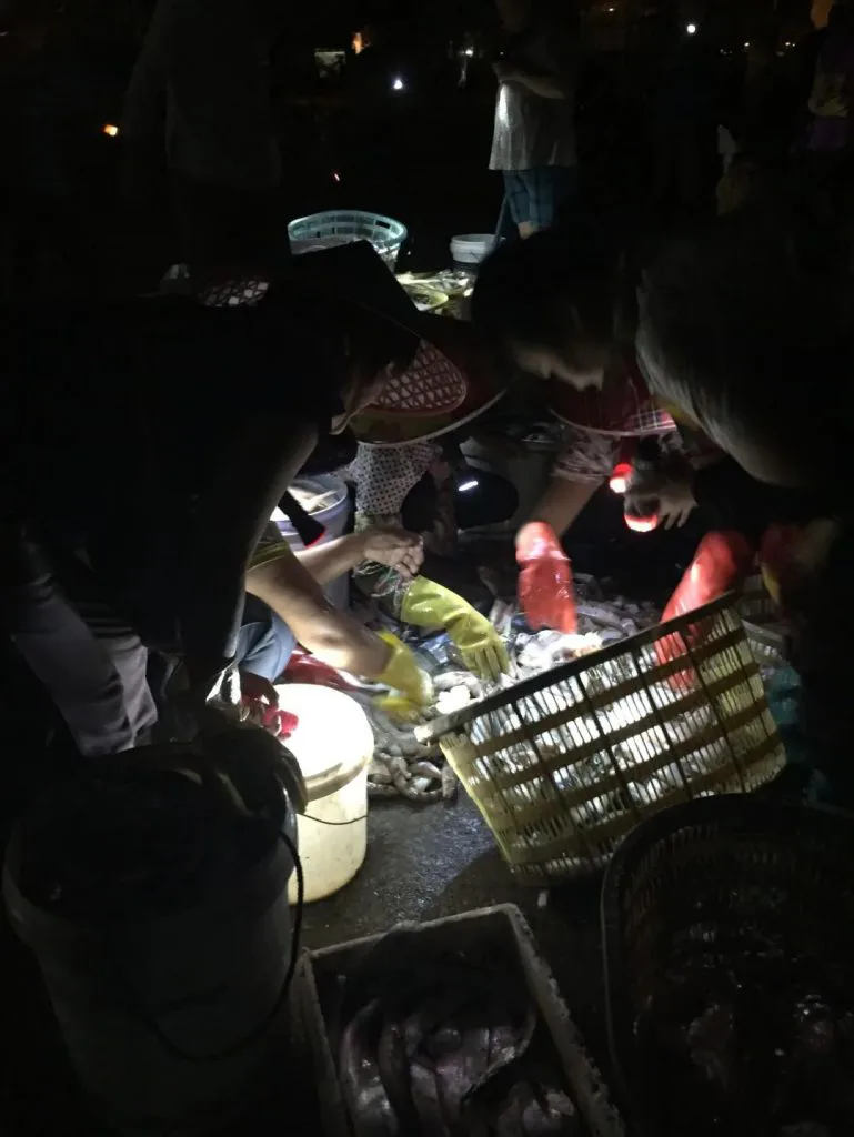 几位戴斗笠、穿红色雨靴和黄色手套的女性蹲在地上,借着手电光分拣塑料筐里的渔获,周围一片漆黑。