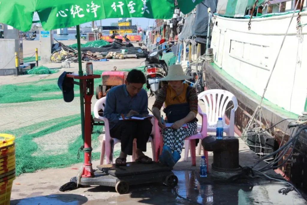一男一女坐在塑料椅上,分别在本子上记账,旁边是一台带轮子的地磅,背景停靠着渔船和成堆的绿色渔网。
