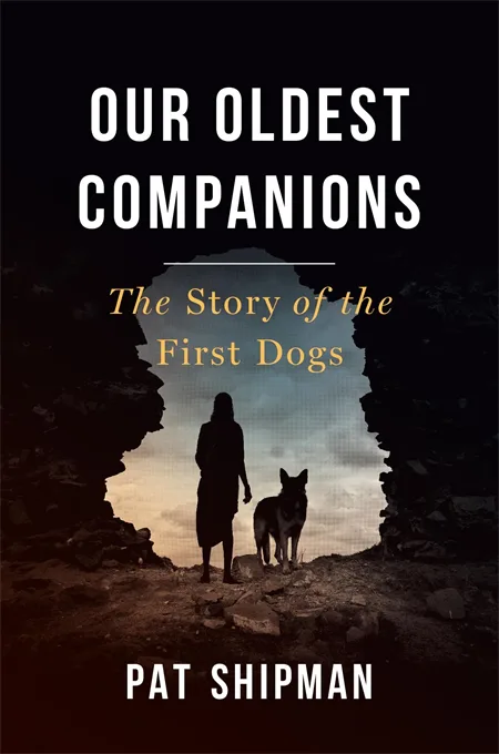 《我们的挚友》（Our Oldest Companions: The Story of the First Dogs）封面，作者帕特·希普曼（Pat Shipman）。黑色背景中一个洞穴状镂空里，人与狗的剪影并肩站立，远处是黄昏天空。