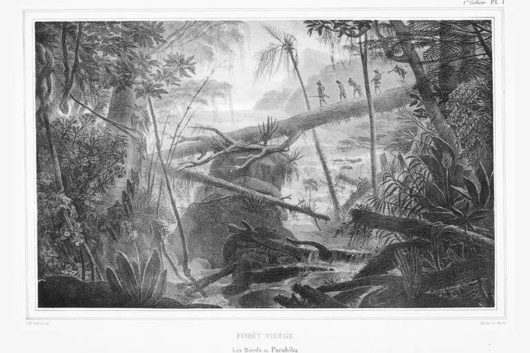 黑白版画描绘热带雨林景象，茂密植被环绕一条倒伏的树干横跨溪流，几个人影手持长杆一字排开走过树干便桥，远处云雾笼罩山峦。