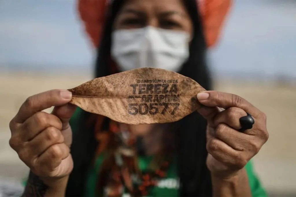 一位戴口罩、扎红头巾的女性手持一片干树叶，叶片上写有'TEREZA ARAPIUM 50577'字样，即她的竞选姓名与编号。