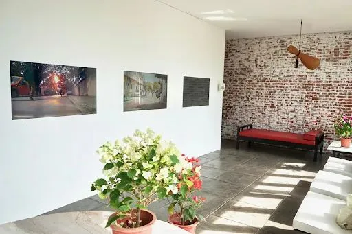 室内展览空间一角：白墙上挂着三幅摄影作品，红砖墙边放着红色长椅，前景摆放绿植盆栽，右侧可见白色沙发。