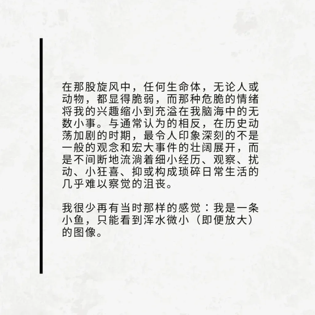 浅色纹理背景左侧配黑色竖线装饰，引文写道：在旋风中任何生命都显得脆弱，历史动荡中最深刻的不是宏大事件，而是琐碎日常中不易察觉的细小经历；我很少再有当时那种感觉——自己是一条只能看到浑水微小图像的小鱼。
