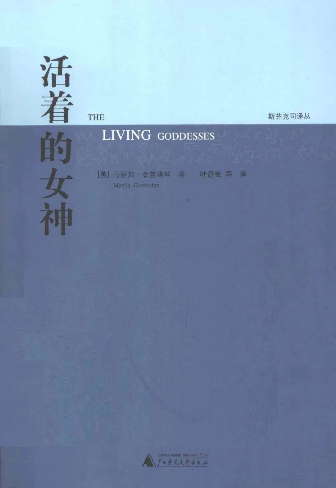 灰蓝色简约封面，书名与译者信息居左排列，右上角背景隐约印有浅色符号图案。