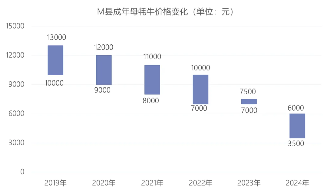 柱状区间图显示M县成年母牦牛价格从2019年到2024年逐年走低,价格区间从万元级降至三千余元。