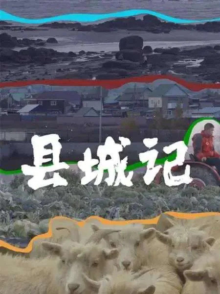 海报分三层画面：上层是海边礁石滩，中层是县城民房与驾驶红色农用车的人，下层是一群羊，白色大字“县城记”叠加在画面中央。