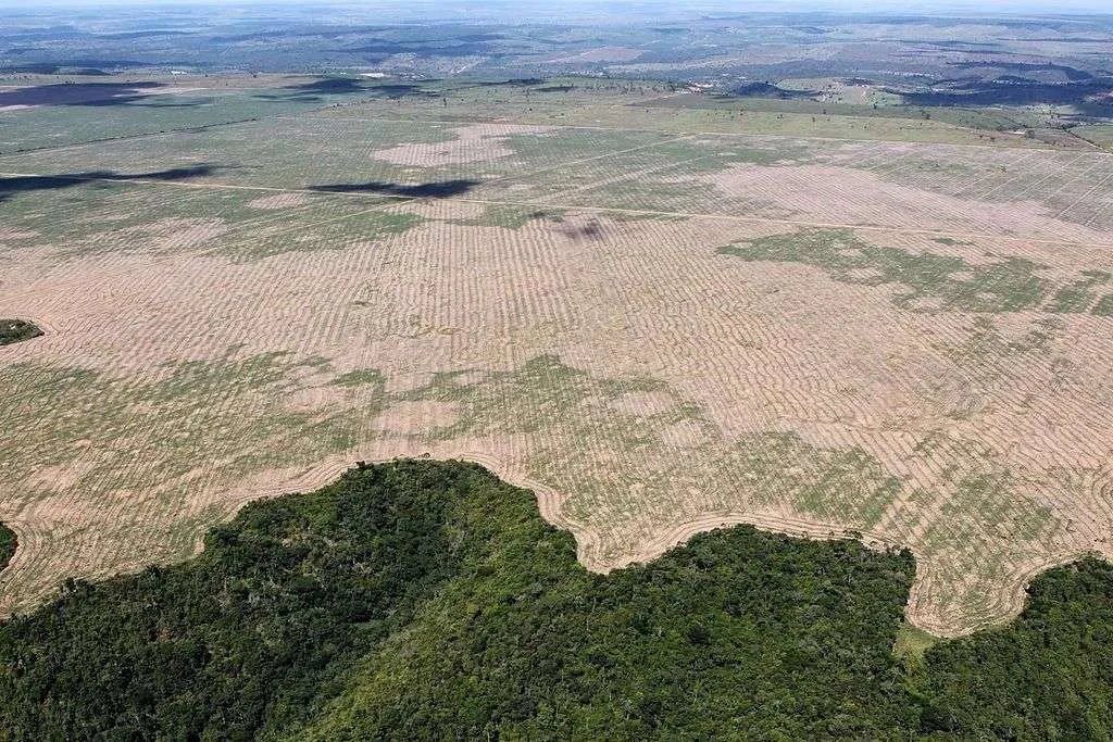 航拍画面中,大片亚马逊雨林被砍伐清空成裸露的黄褐色空地,与下方保留的翠绿森林形成鲜明的分界线。